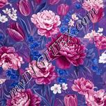 Colour:A