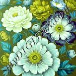 Colour:K