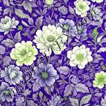 Colour:D