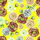 Colour:K