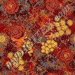 Colour:A