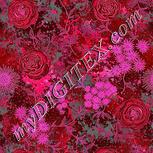 Colour:B