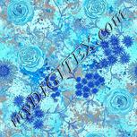 Colour:F