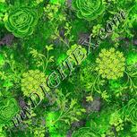 Colour:D