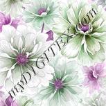 Colour:B