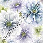 Colour:D