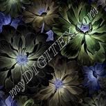 Colour:F