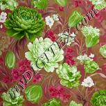 Colour:C