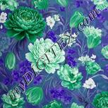 Colour:D