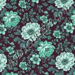 Colour:C