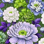 Colour:D