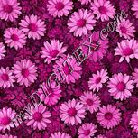 Colour:B