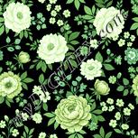Colour:K