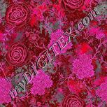 Colour:B