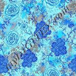 Colour:F