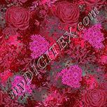 Colour:B