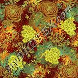 Colour:K