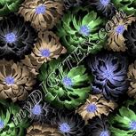 Colour:F