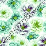 Colour:K