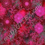 Colour:B