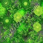 Colour:D