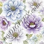 Colour:A