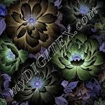 Colour:F
