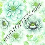 Colour:K