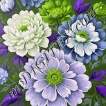 Colour:D