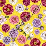 Colour:A