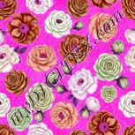 Colour:B