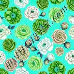 Colour:C