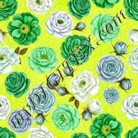 Colour:D
