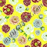 Colour:K