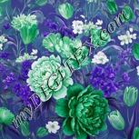 Colour:D