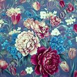 Colour:K