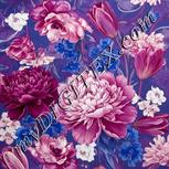 Colour:A