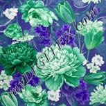 Colour:D