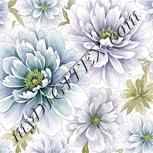 Colour:D