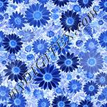 Colour:F