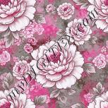 Colour:B