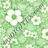 Colour:K