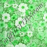 Colour:D