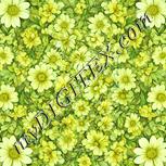 Colour:K