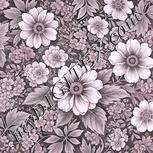 Colour:B
