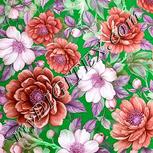 Colour:B