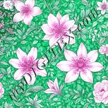 Colour:B