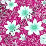 Colour:C