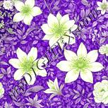 Colour:D