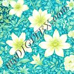 Colour:K